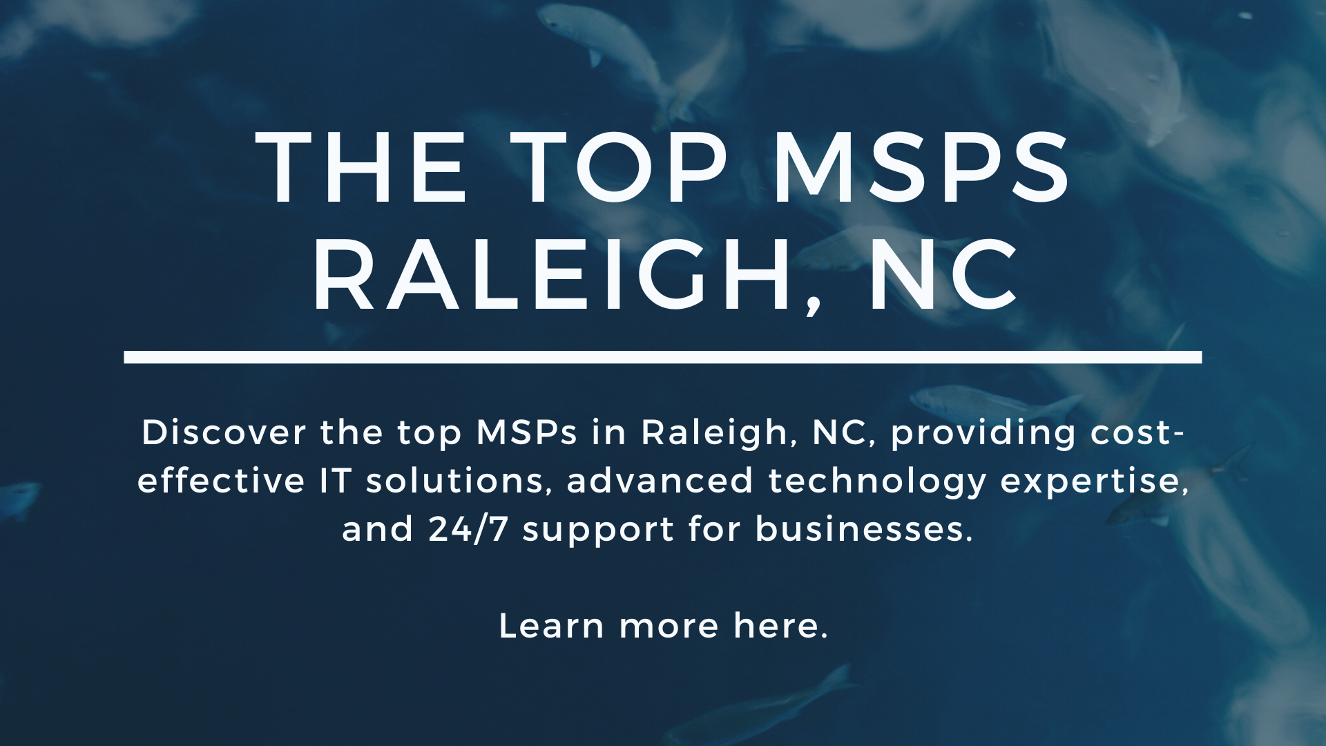 Top MSPs in Raleigh: Providing Advanced Technology Expertise and Proactive Support for Businesses